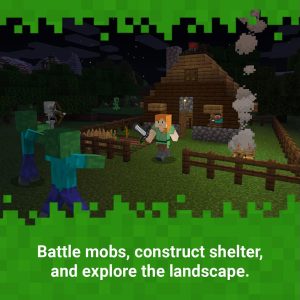 NINTENDO SWITCH Minecraft