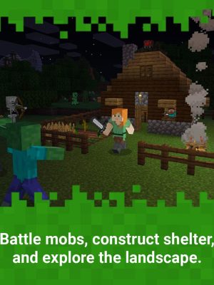 NINTENDO SWITCH Minecraft