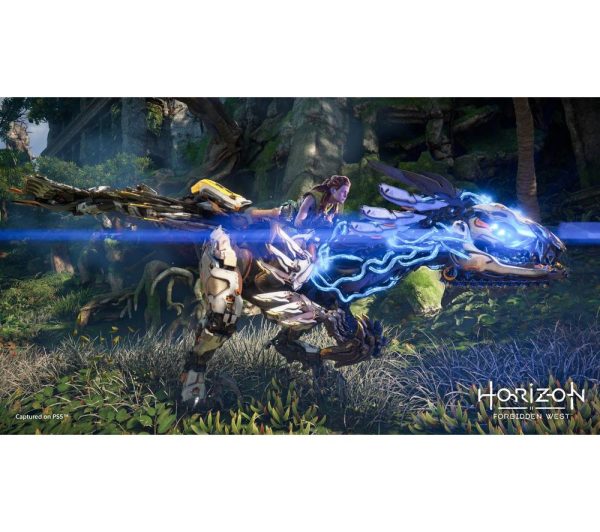 PLAYSTATION Horizon Forbidden West - PS5