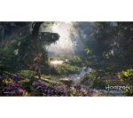 PLAYSTATION Horizon Forbidden West - PS5