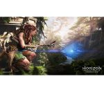 PLAYSTATION Horizon Forbidden West - PS5