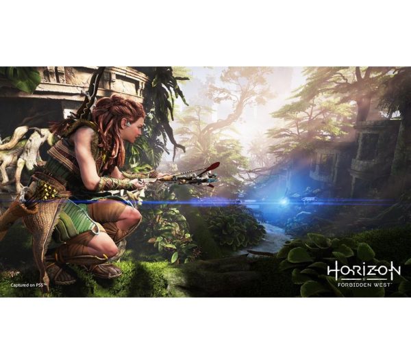 PLAYSTATION Horizon Forbidden West - PS5