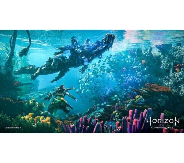 PLAYSTATION Horizon Forbidden West - PS5