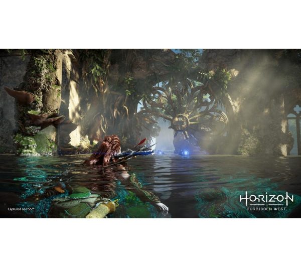 PLAYSTATION Horizon Forbidden West - PS5