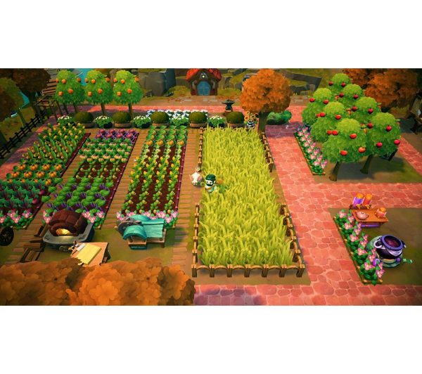NINTENDO SWITCH Fae Farm