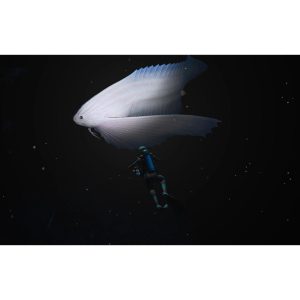 NINTENDO Endless Ocean Luminous