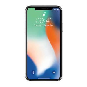 Apple iPhone X UNLOCKED | 256 GB | Silver | Pristine