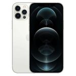 Apple iPhone 12 Pro UNLOCKED | 256 GB | Silver | Pristine