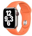 Apple Watch Strap 40mm Kumquat Nike Sport Band - Regular