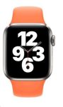 Apple Watch Strap 40mm Kumquat Nike Sport Band - Regular