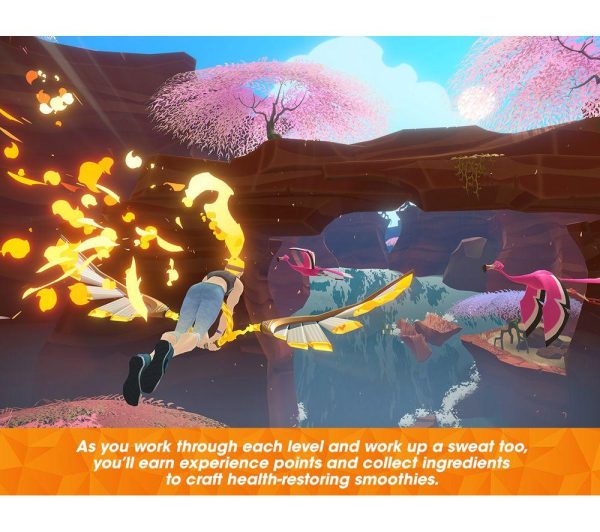 NINTENDO SWITCH Ring Fit Adventure