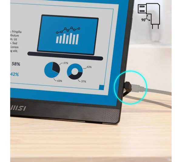 MSI PRO MP161 E2 Full HD 15.6" IPS LED Portable Monitor - Black