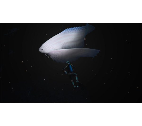 NINTENDO Endless Ocean Luminous